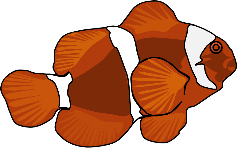 Maroon Clownfish Clipart (775x483), Png Download