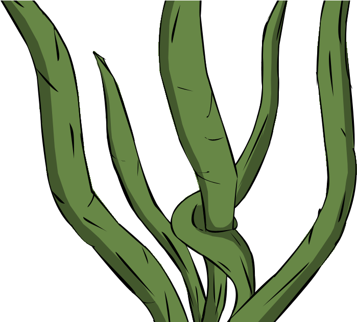 2d Game Design - Seaweeds Clipart - Png Download (917x630), Png Download