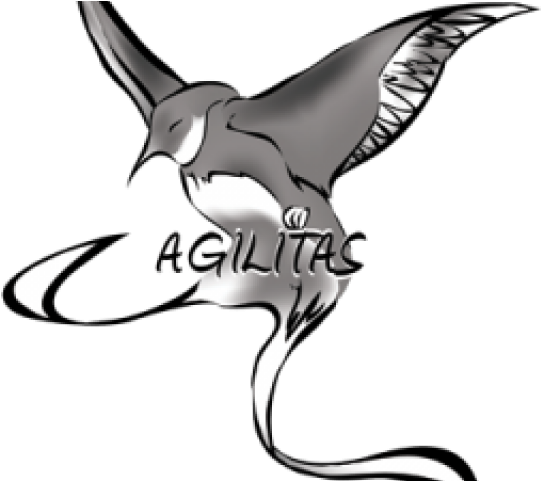 Call Of Duty Clipart Fish Tail - Png Download (640x480), Png Download