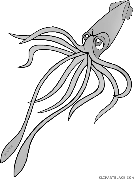 Squid Clipart Happy - Calamar Infantil - Png Download (496x648), Png Download