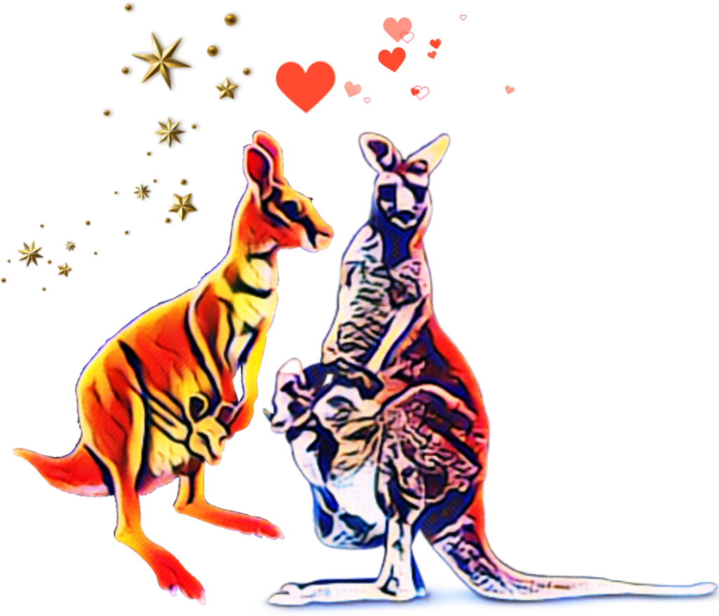 Kangaroo Clipart (1024x877), Png Download