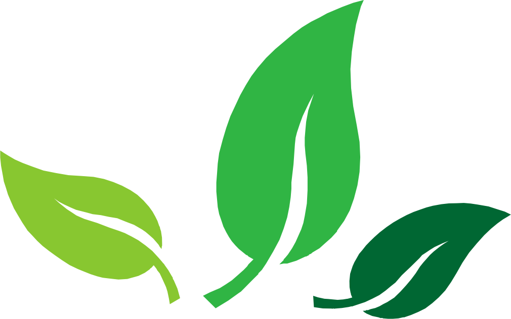 Thyme For Natural Medicine Clipart (1010x632), Png Download