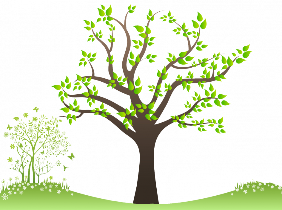 Welcome Family Tree Image For History Picture Frame - Tree Png For Family Clipart (945x702), Png Download