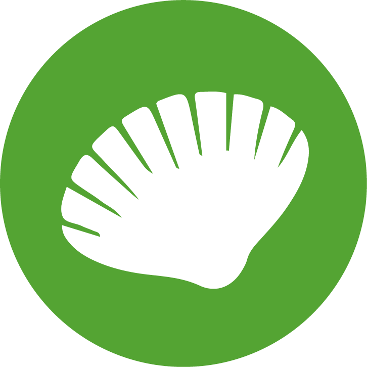 Muscheln - Green Email Logo Png Clipart (726x726), Png Download