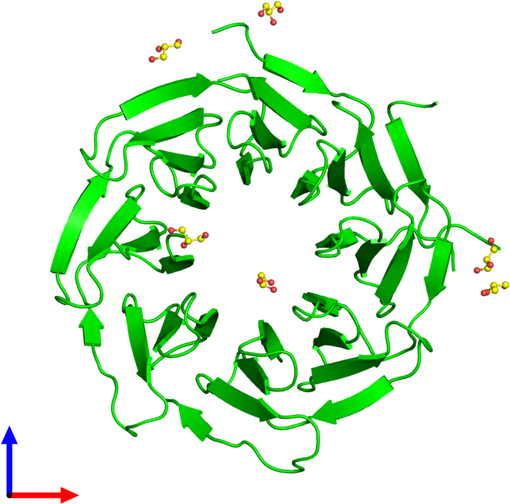 Monomeric Assembly 4 Of Pdb Entry 5naf Coloured By - Graphic Design Clipart (800x800), Png Download