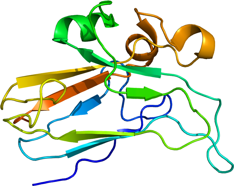 Protein Efnb2 Pdb 1iko - Ephrin B2 Clipart (853x689), Png Download