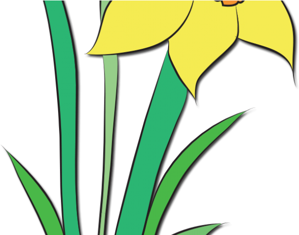 Yellow Flower Clipart Flowering Plant - Clip Art - Png Download (640x480), Png Download
