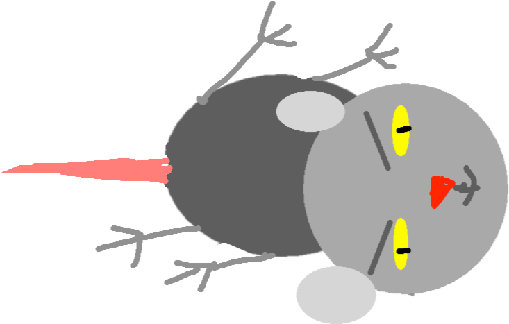 Mouse - Walk1 - Cartoon Clipart (733x467), Png Download