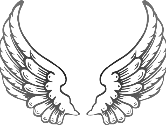 Angel Wings Png Outline Clipart (640x480), Png Download