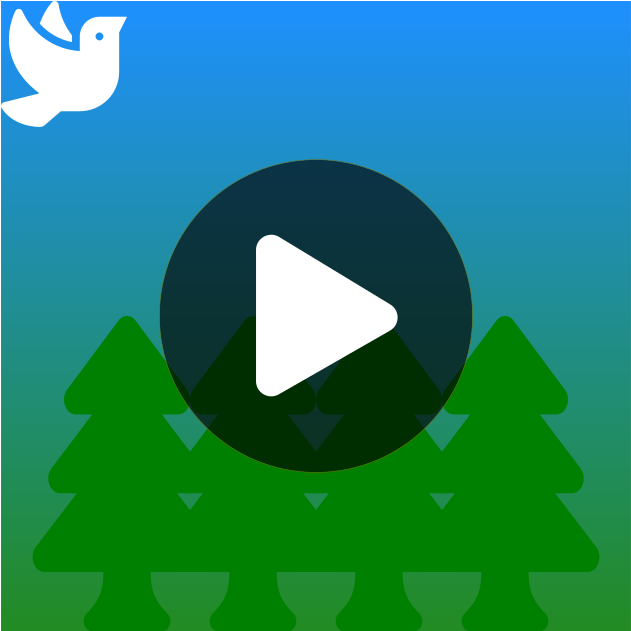 Christmas Tree Clipart (1200x630), Png Download