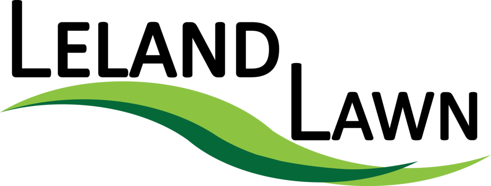 Final Ll Logo No Phone Number Clipart (1000x379), Png Download