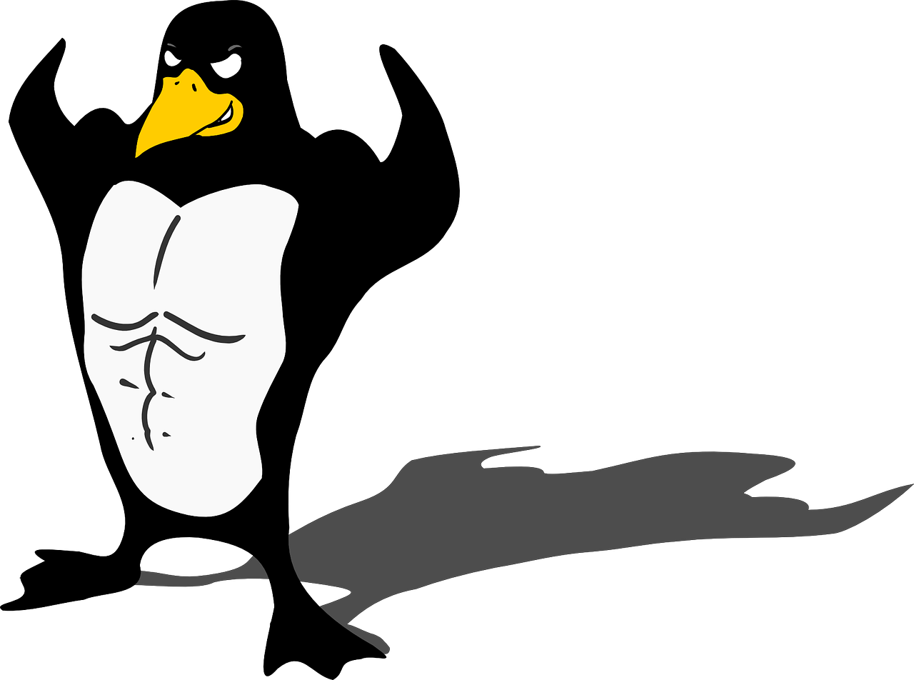 Muscle Clipart Has - Png Download (900x608), Png Download