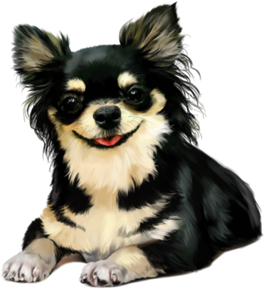 ƤนᏢᏢᎽℓღⱴε Animal Photography, Clip Art, Cute Dogs, - Guten Morgen Grußbilder Lustig - Png Download (600x578), Png Download