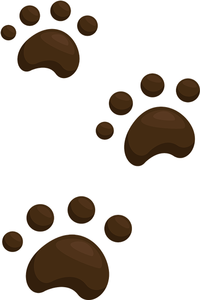 Edmonton Pug Club - Puppy Clipart (618x618), Png Download