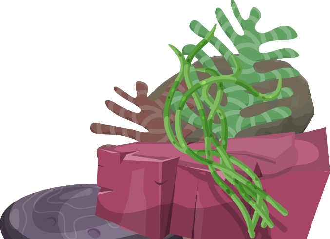 View Our Specials - Illustration Clipart (677x491), Png Download