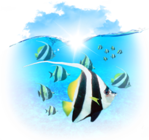 Marine Biology Clipart Computer Icons Clip Art - Little Fish - Png Download (600x600), Png Download