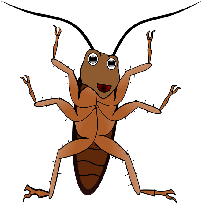 Antenna Clipart Ant - แมลงสาบ การ์ตูน Png Transparent Png (706x720), Png Download