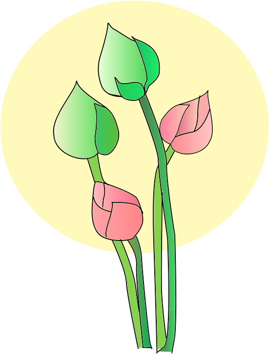 Buddhism Drawing Computer Icons Line Art Download - Lotuses Clipart - Png Download (750x750), Png Download