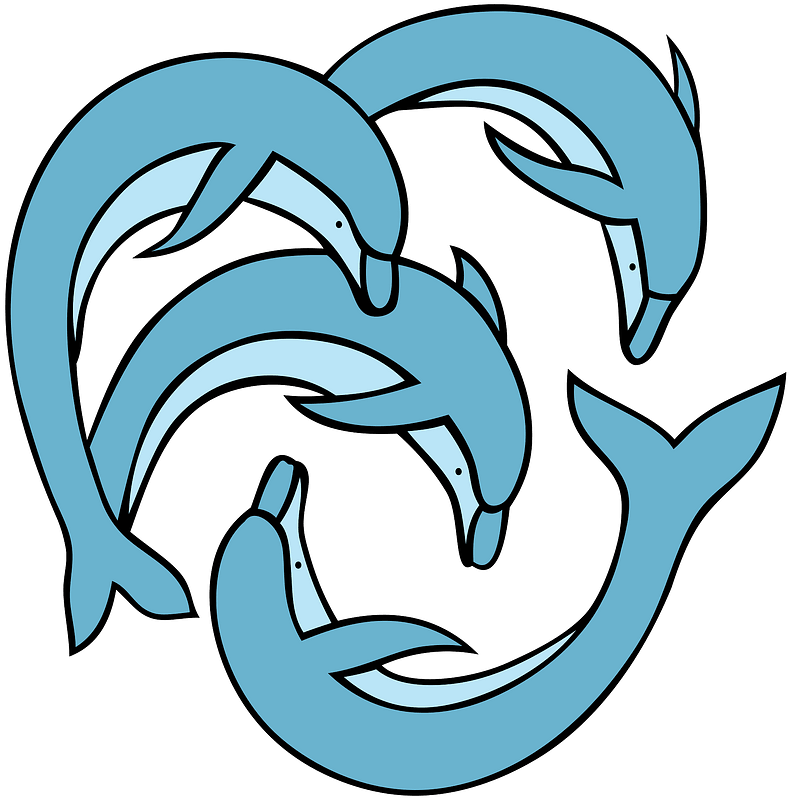 Common Bottlenose Dolphin Short-beaked Common Dolphin - Dolphin Clipart (740x750), Png Download