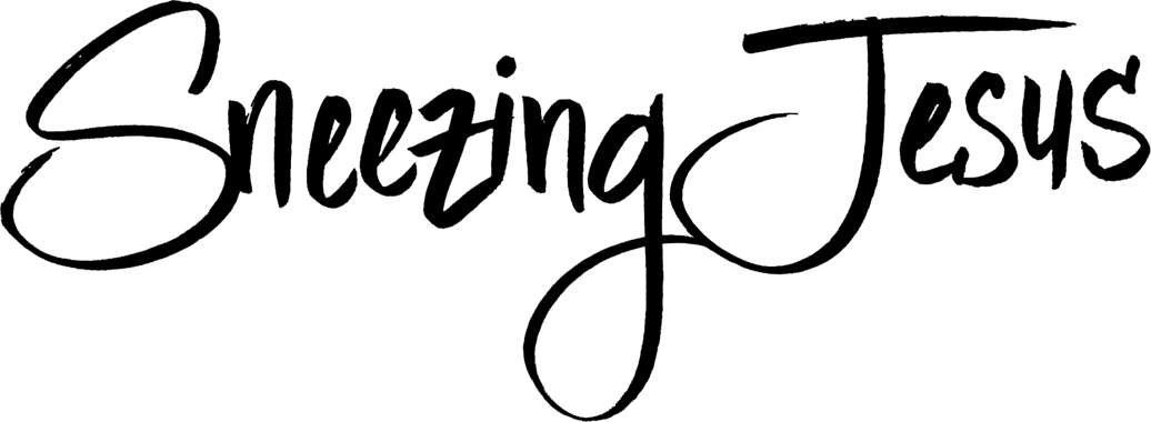 How God Redeems Our Humanity - Sneezing Jesus: How God Redeems Our Humanity Clipart (1036x380), Png Download
