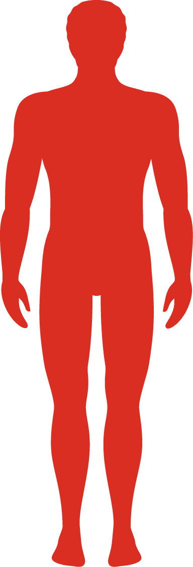 Come Misurarti - Man Clipart (384x1125), Png Download