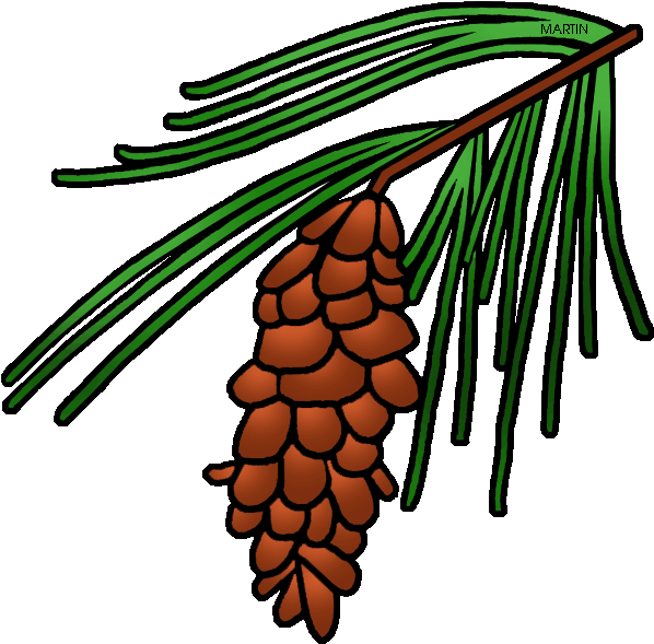 Pine Tree Clipart State - Pine Cone Tree Clipart - Png Download (642x648), Png Download