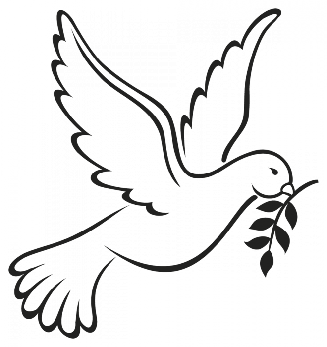 Doves Clipart Head - Colombe De La Paix Dessin - Png Download (660x700), Png Download