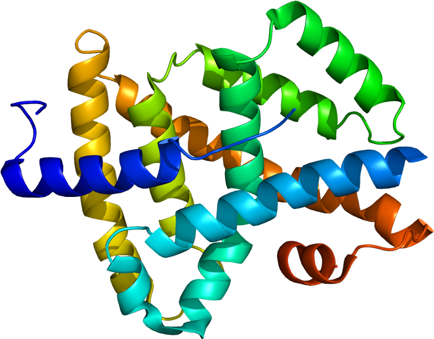 45, 24 December 2009 - Farnesoid X Receptor Structure Clipart (896x710), Png Download