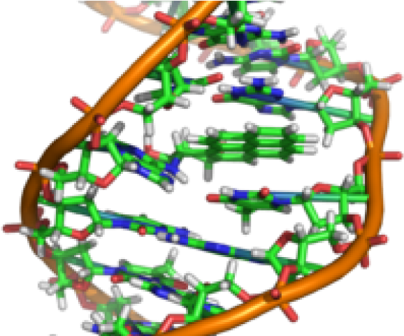 Ethidium Bromide Dna Structure Clipart (640x480), Png Download