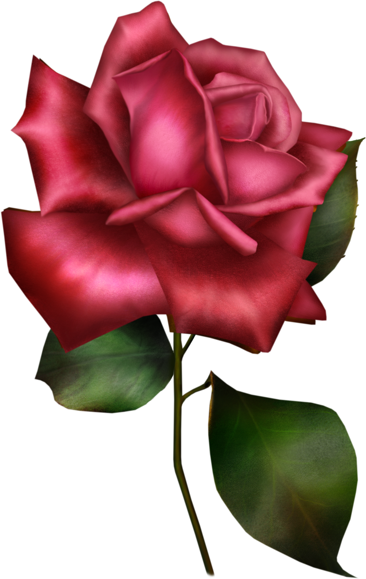 Banner Download Flower Sentence Garden Roses Clip Art - Popeven Large Floral And Butterfly Pattern Shower Curtain - Png Download (1242x1966), Png Download