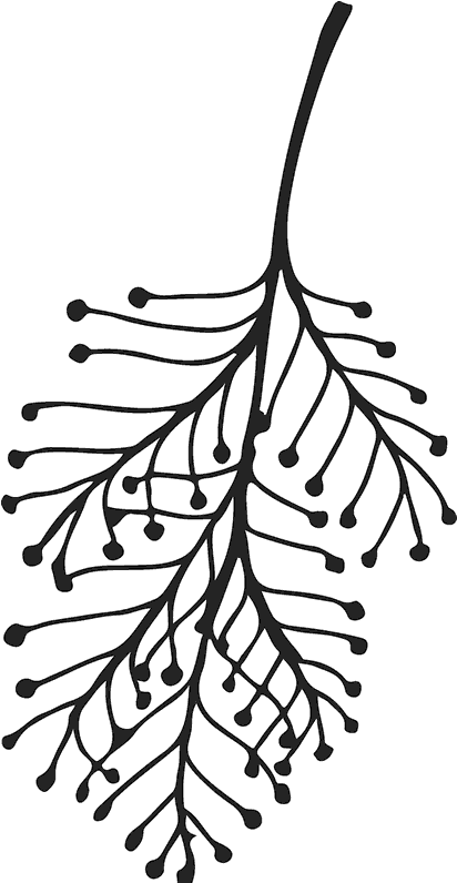Line Art Clipart (600x600), Png Download