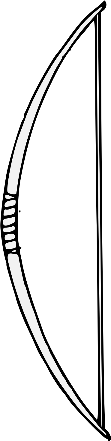 Bow Clipart (381x1462), Png Download