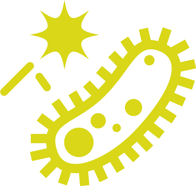 Contains Prebiotics, Probiotics, Enzymes, And Fiber - Scucisd Clipart (720x720), Png Download