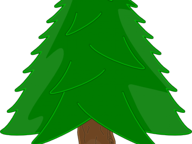 Fir Tree Clipart Bare - Christmas Tree Clip Art Simple - Png Download (640x480), Png Download