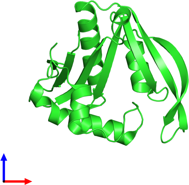 Pdb 4h89 Coloured By Chain And Viewed From The Front - Graphic Design Clipart (800x800), Png Download