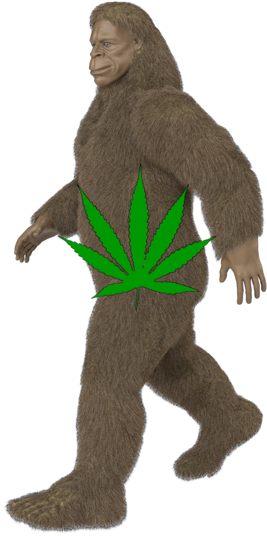 Bigfoot Png - Costume Clipart (1080x1080), Png Download