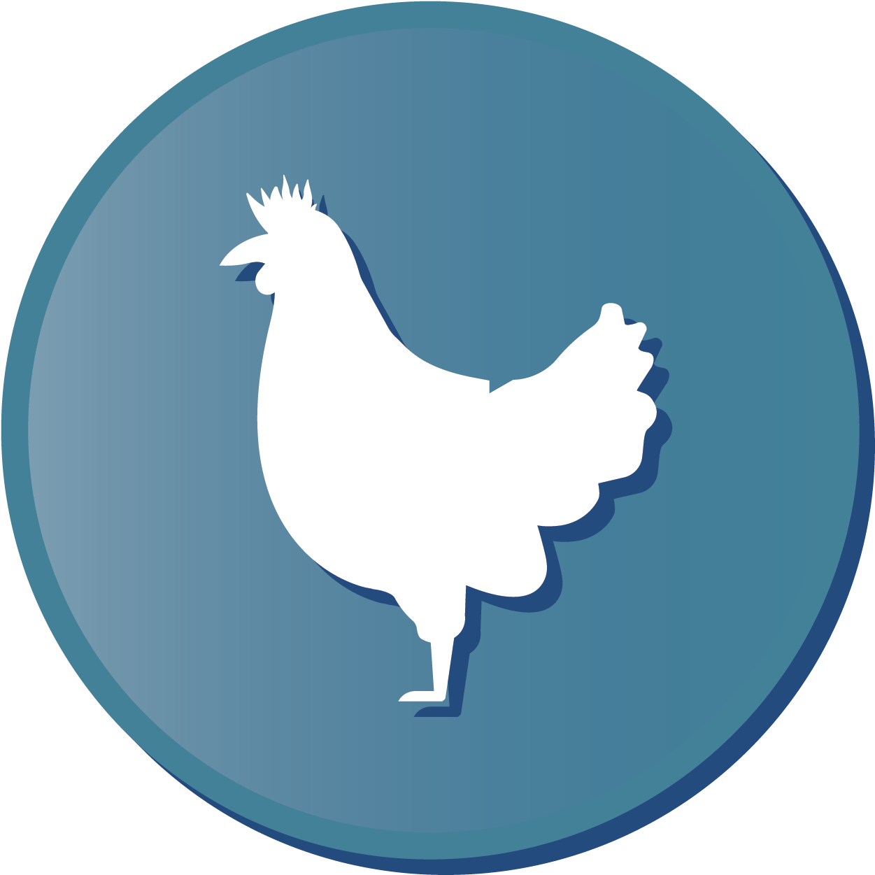 Currently Currie's Corner Farm Has Approximately 90 - Rooster Clipart (1667x1667), Png Download