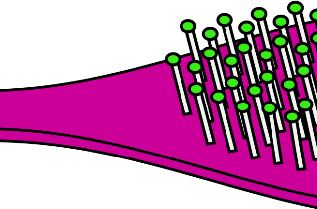 Brush Clipart Animated Hair - Png Download (640x480), Png Download