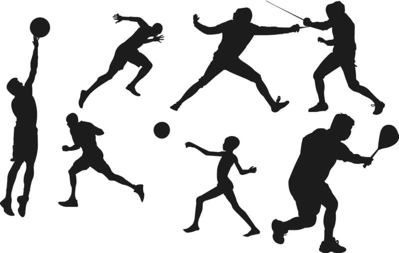 Sport Transparent Image - Sports Images Clip Art - Png Download (800x507), Png Download