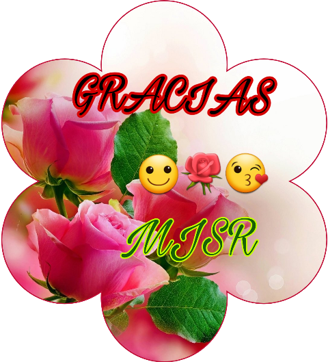 Red Rose Good Morning Clipart (480x529), Png Download