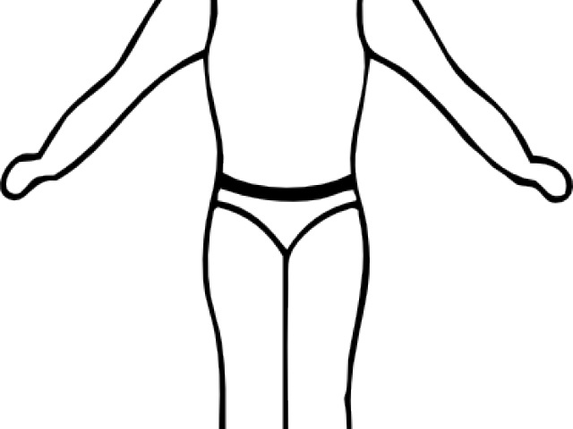 Chest Clipart Blank Body - Girl Body Clipart - Png Download (640x480), Png Download