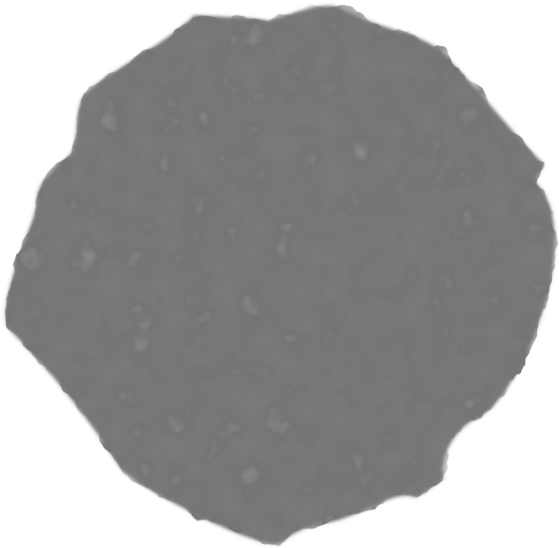 Medium Image - Circle Clipart (800x1131), Png Download