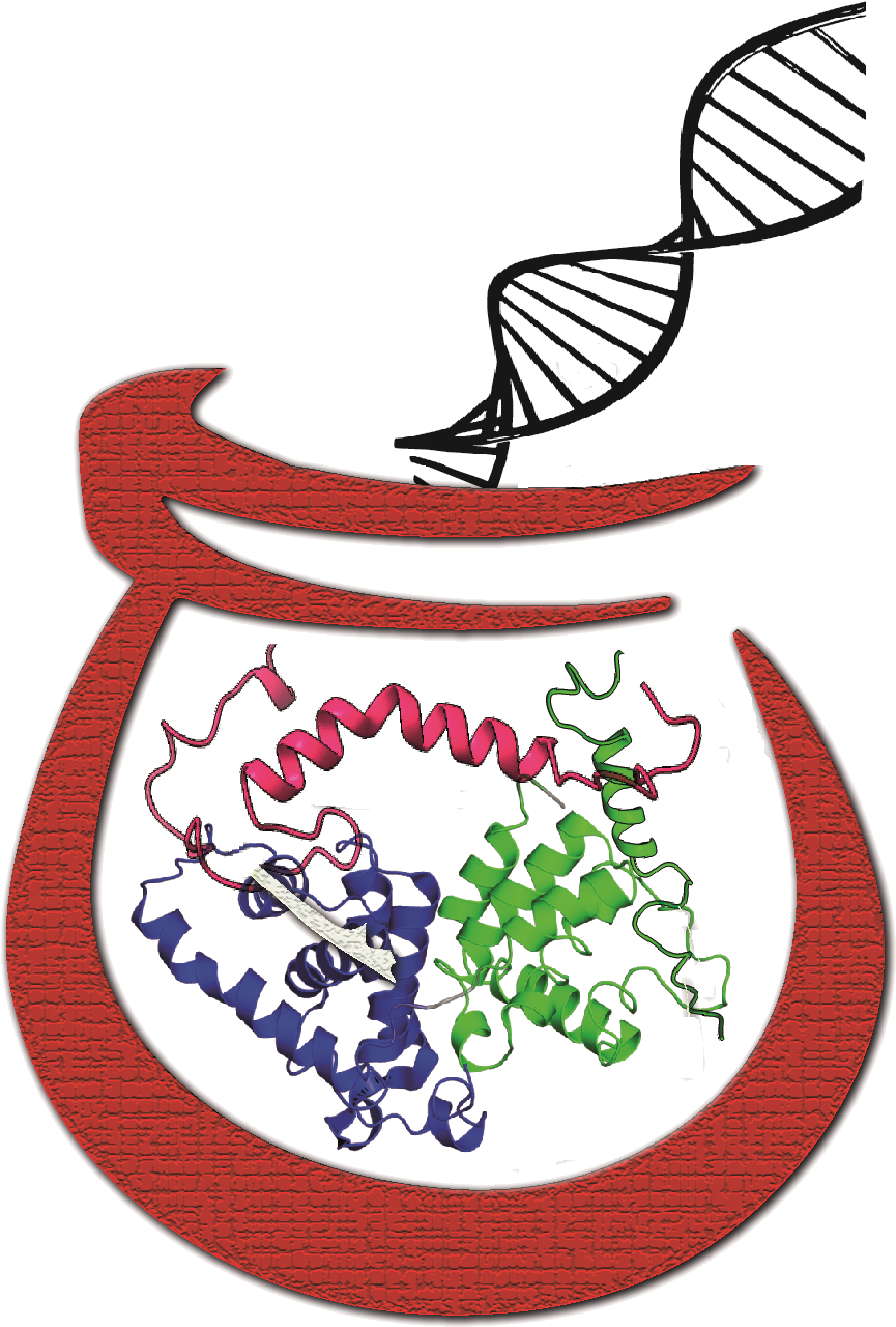 Posadas, Misiones Clipart (885x1333), Png Download