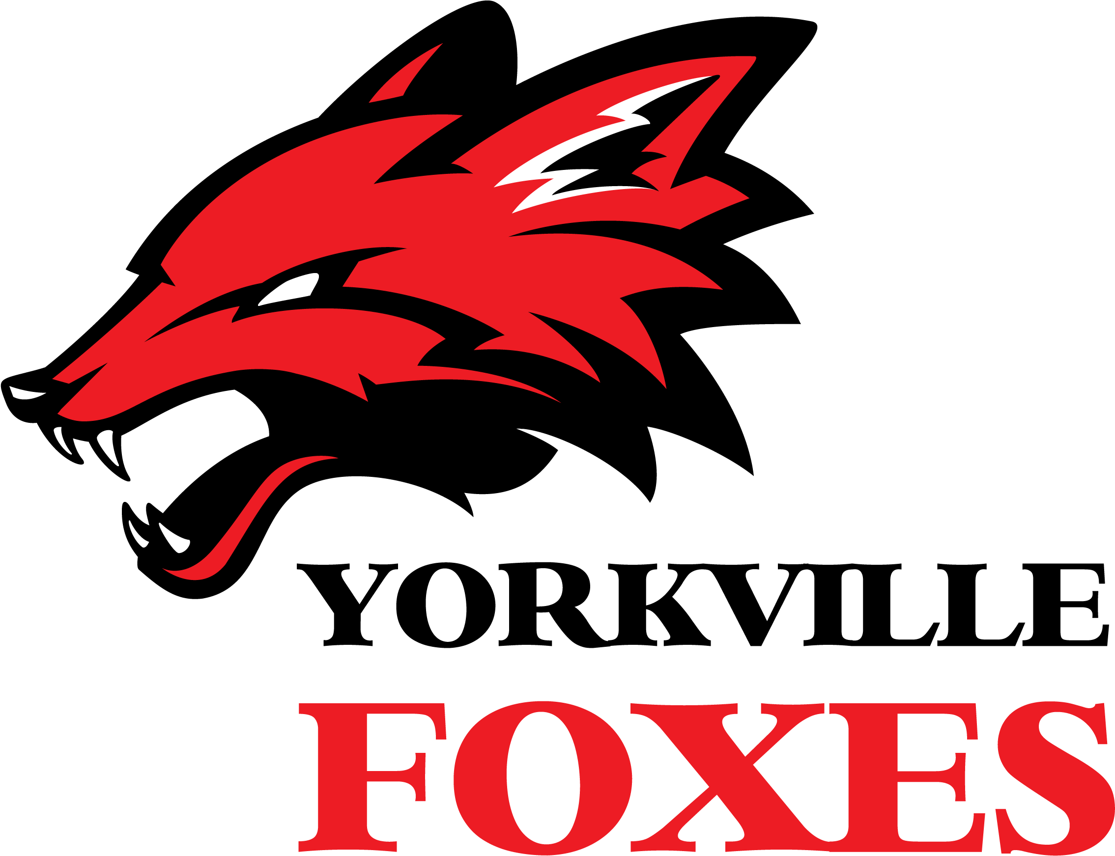 Foxes Fathead - Wellness Logo Cat Food Clipart (2322x1800), Png Download