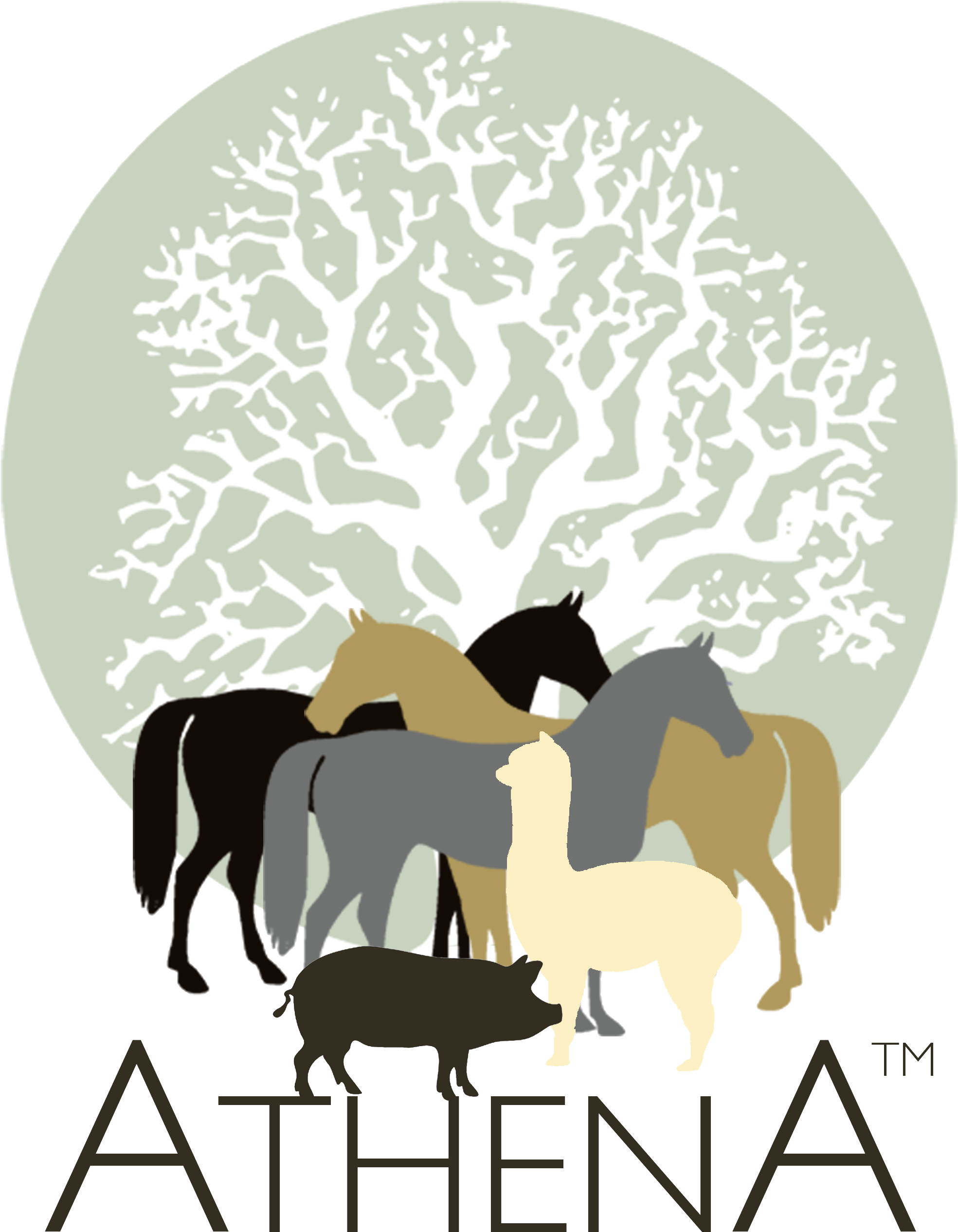 Athena Herd An International Learning And Development - Cartar De Um Jardineiro Clipart (2362x2858), Png Download