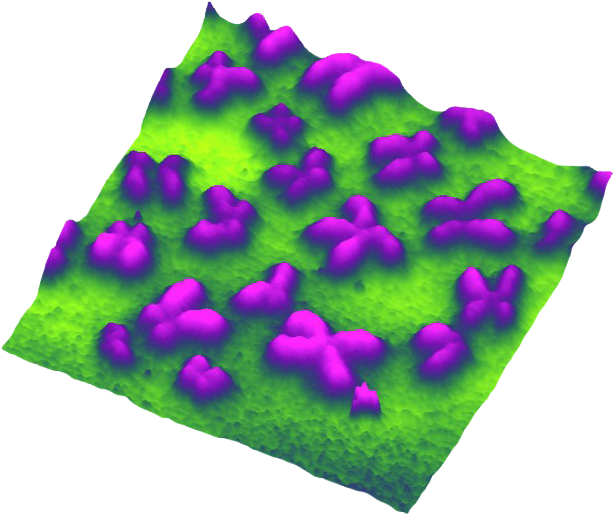 Parallax Parallax Parallax Parallax - Rose Clipart (1696x1068), Png Download