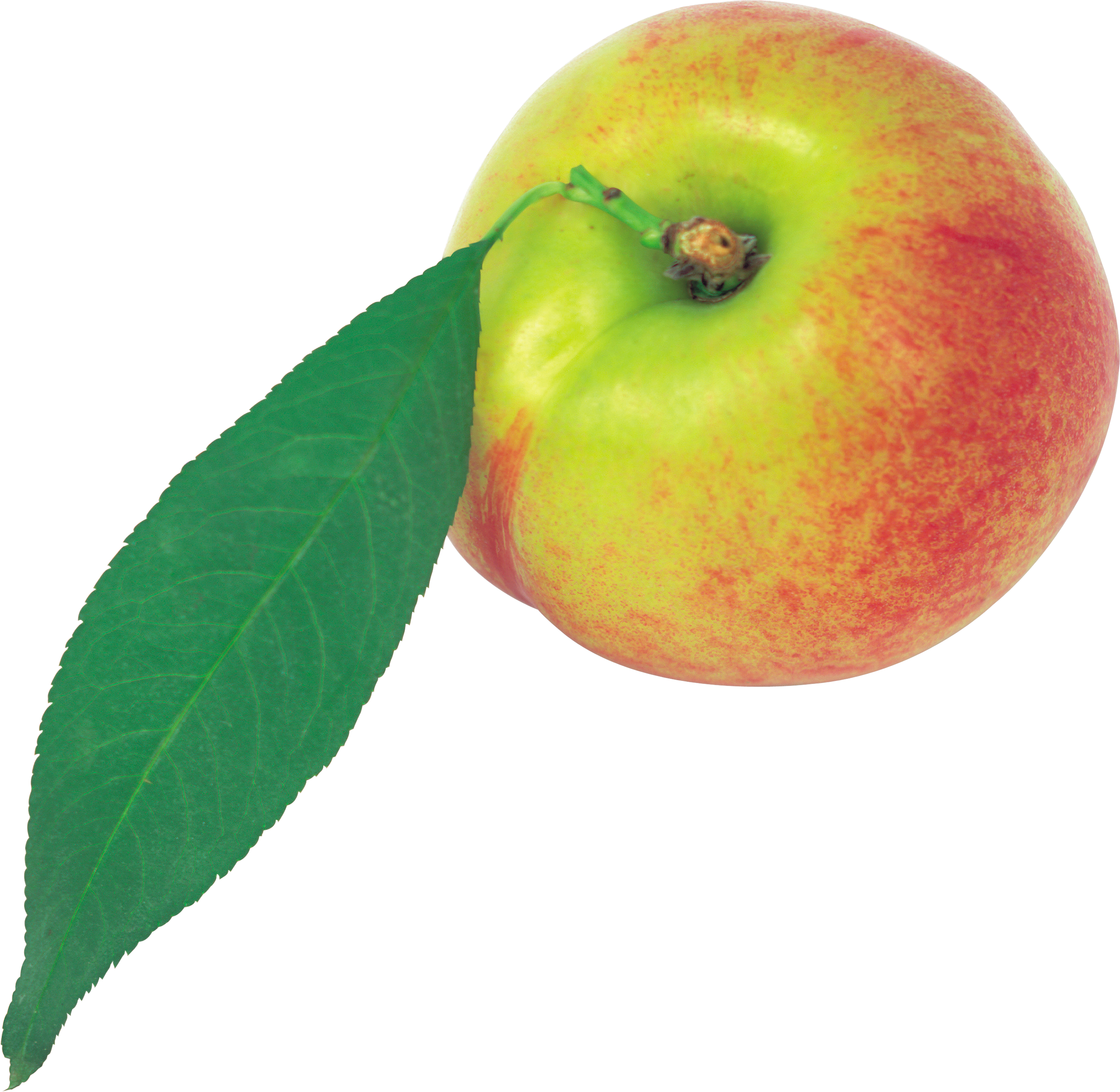 Peach Clipart (2573x2508), Png Download