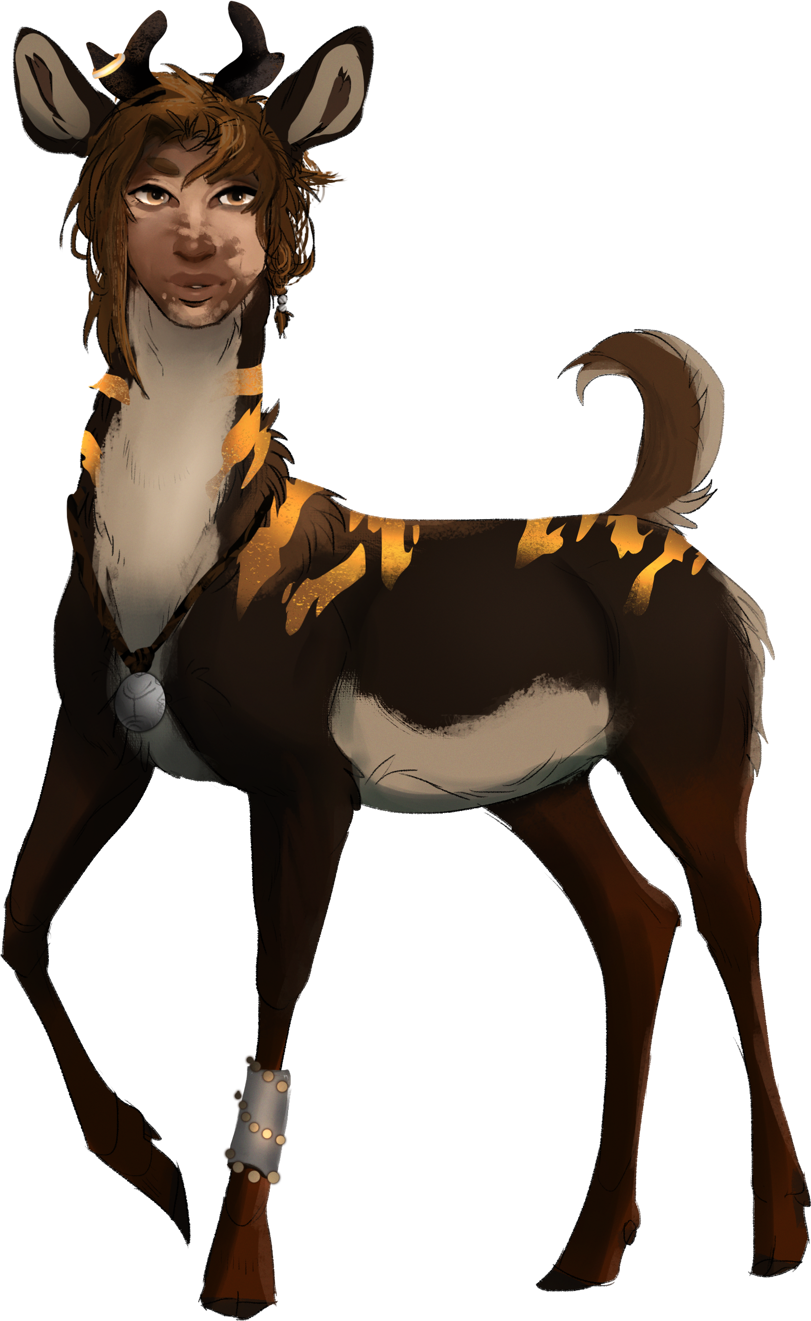 Braithe - Deer Clipart (1900x2683), Png Download