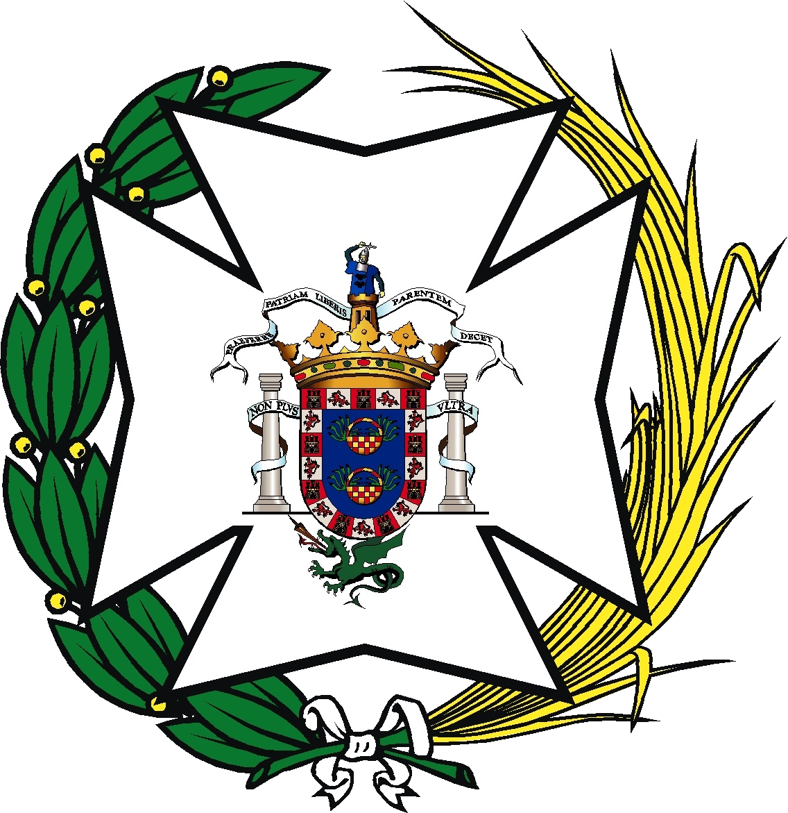 El Presidente Del Colegio Oficial De Enfermería De - Enfermeria Clipart (1136x1171), Png Download