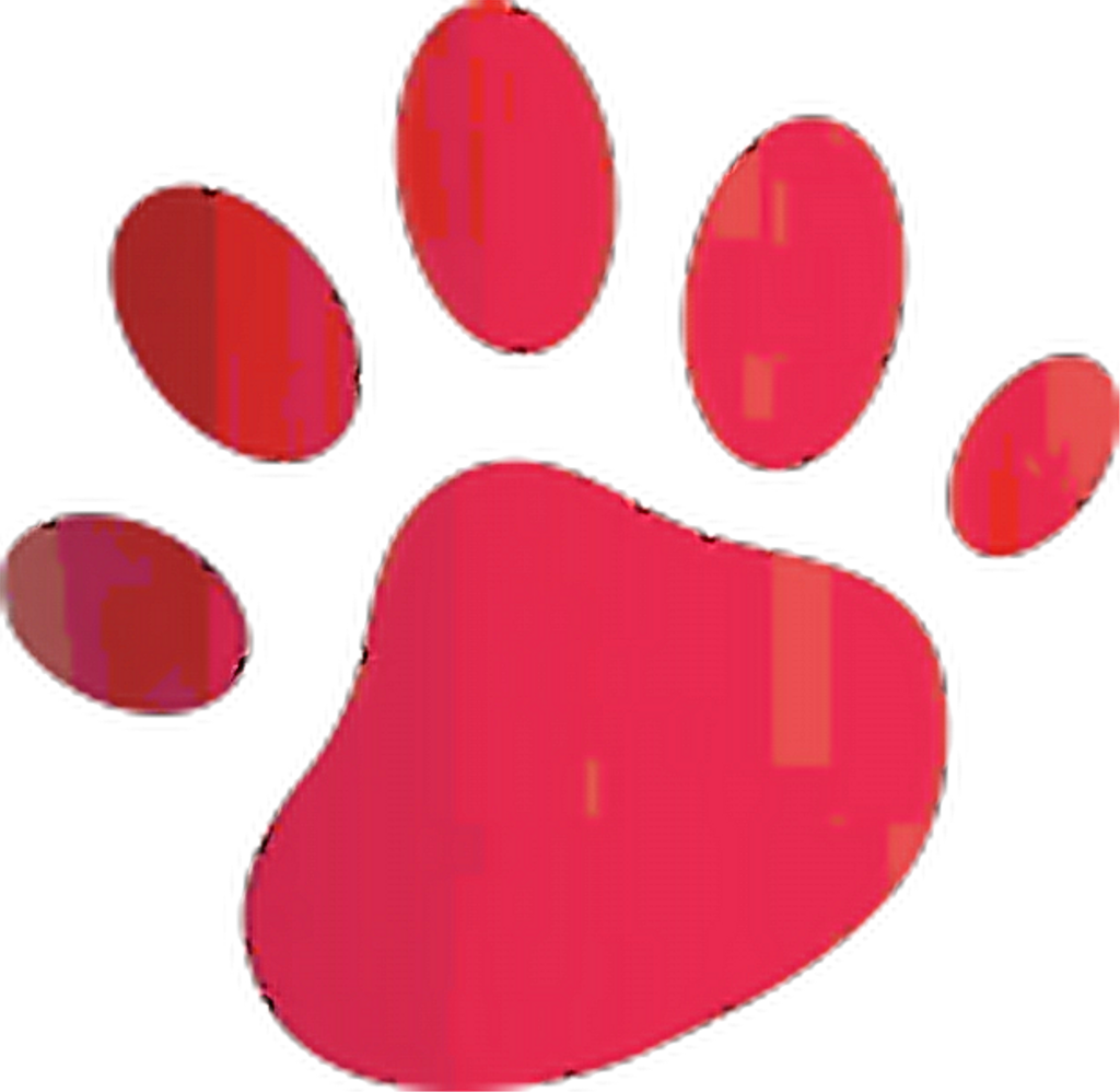 Pawprint Sticker - Circle Clipart (1024x998), Png Download